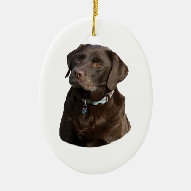 Chocolate Labrador dog photo portrait Ceramic Ornament (Front)