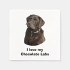 Chocolate Labrador dog photo portrait