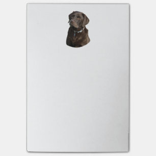 Chocolate Labrador dog photo portrait Post-it Notes