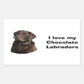 Chocolate Labrador dog photo portrait Sticker