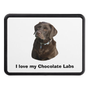 Chocolate Labrador dog photo portrait Trailer Hitch Cover