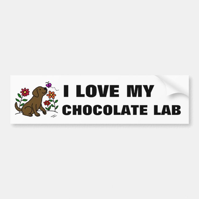Chocolate Labrador & Green Bumper Sticker (Front)