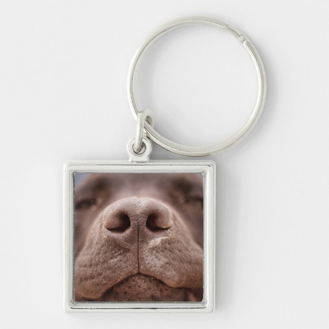 Chocolate Labrador Nose Closeup Keychain (Front)