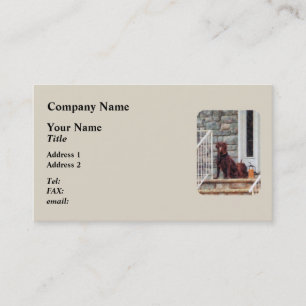 Chocolate Labrador on Porch Business Card