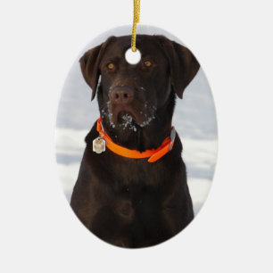 Chocolate Labrador Ornament