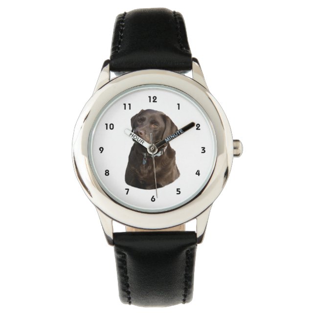 Chocolate Labrador photo portrait Watch (Front)