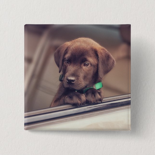 Chocolate Labrador Puppy In Car 2 Inch Square Button (Front)