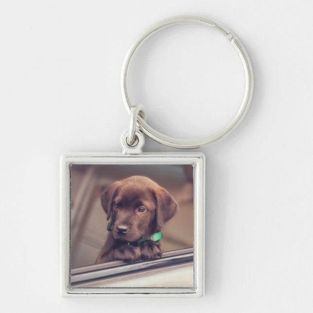 Chocolate Labrador Puppy In Car Keychain (Front)