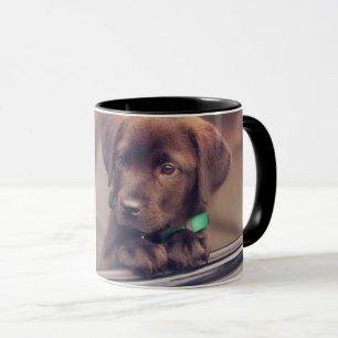 Chocolate Labrador Puppy In Car Mug