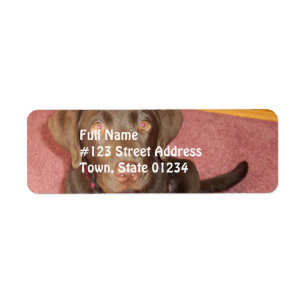 Chocolate Labrador Puppy Mailing Label