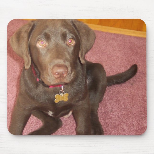 Chocolate Labrador Puppy  Mouse Pad (Front)