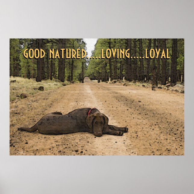 Chocolate Labrador Puppy On Forest Trail Custom Poster (Front)