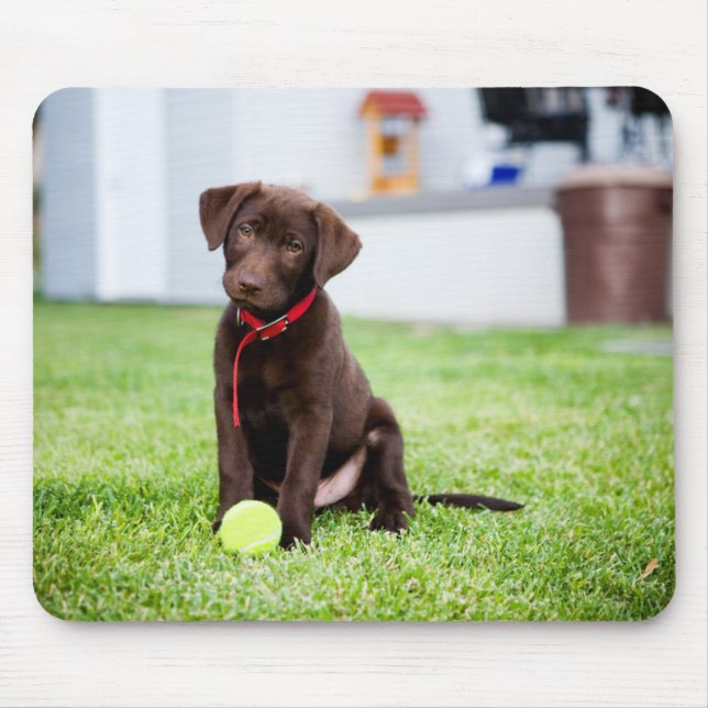 Chocolate Labrador Puppy With Tennis Ball Mouse Pad (Front)