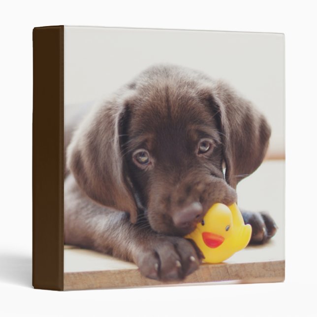 Chocolate Labrador Puppy With Toy Duck Binder (Front/Spine)