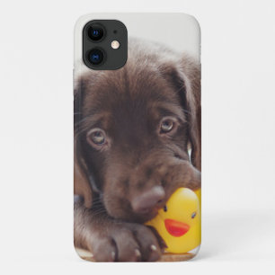 Chocolate Labrador Puppy With Toy Duck iPhone 11 Case