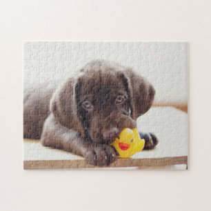 Chocolate Labrador Puppy With Toy Duck Jigsaw Puzzle