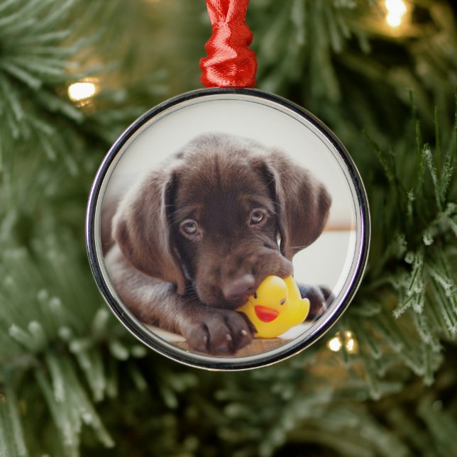 Chocolate Labrador Puppy With Toy Duck Metal Ornament (Tree)