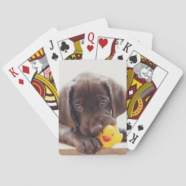 Chocolate Labrador Puppy With Toy Duck Playing Cards (Back)