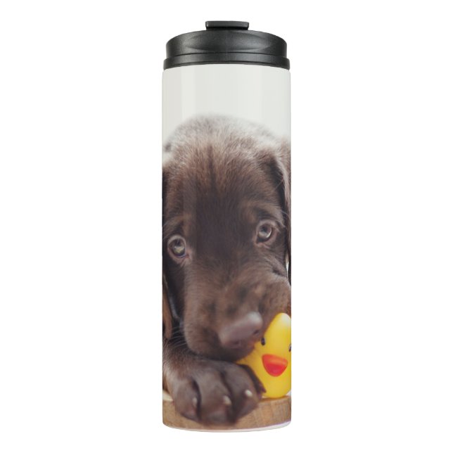Chocolate Labrador Puppy With Toy Duck Thermal Tumbler (Front)