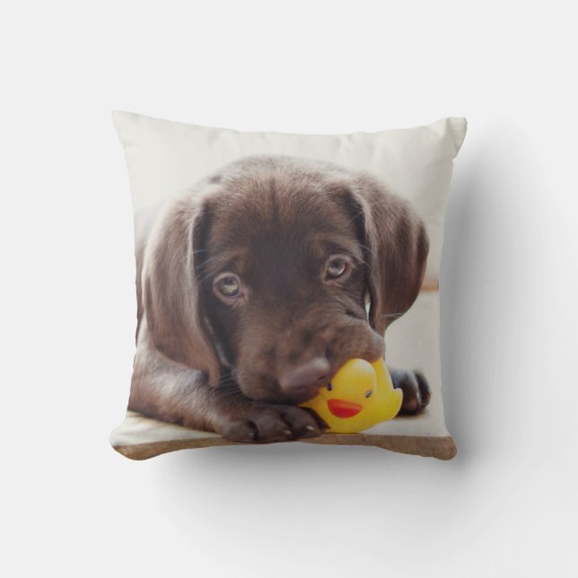 Chocolate Labrador Puppy With Toy Duck Throw Pillow (Front)