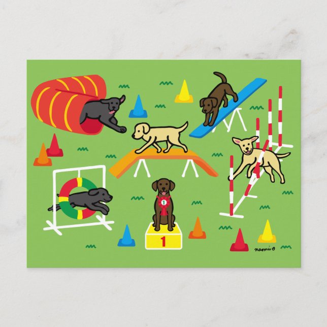 Chocolate Labrador Retriever Agility Cartoon Postcard (Front)