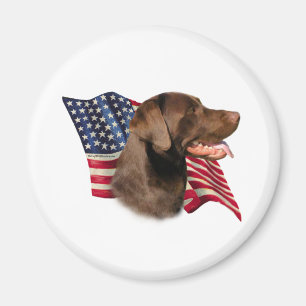 Chocolate Labrador Retriever American Flag Magnet