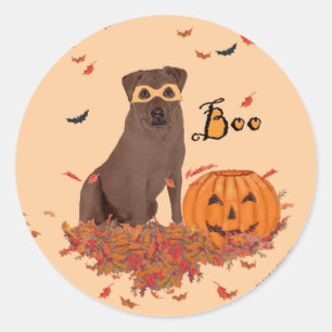 Chocolate Labrador Retriever Boo! Classic Round Sticker