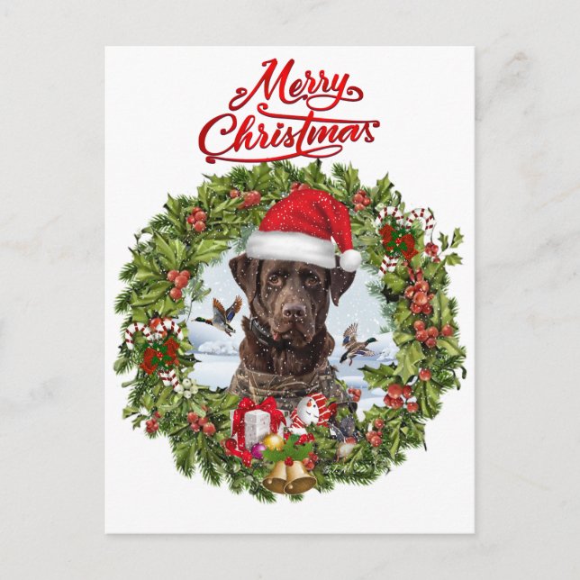 Chocolate Labrador Retriever,  Christmas wreath  Postcard (Front)