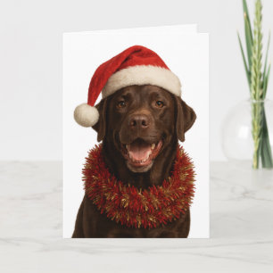 Chocolate Labrador Retriever Dog Christmas card