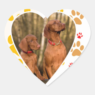 Chocolate Labrador Retriever  Dog Hearts Paw Print Heart Sticker