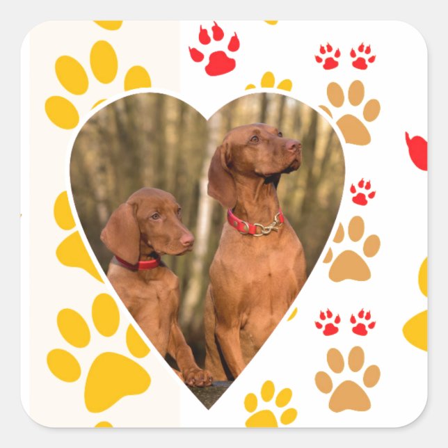 Chocolate Labrador Retriever  Dog Hearts Paw Print Square Sticker (Front)