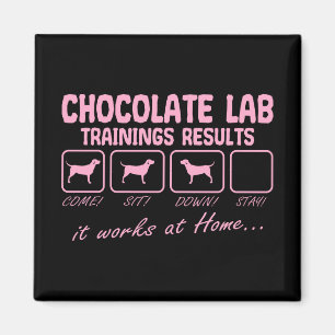 Chocolate Labrador Retriever Dog Lab Mom Funy Magnet