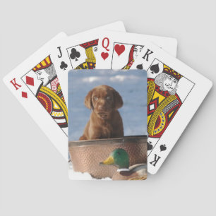 Chocolate Labrador Retriever Dog Playing Cards