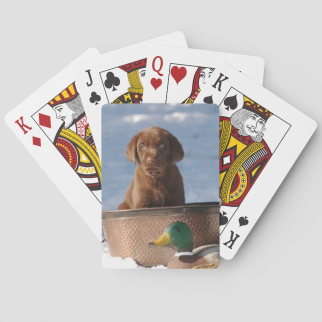Chocolate Labrador Retriever Dog Playing Cards (Back)