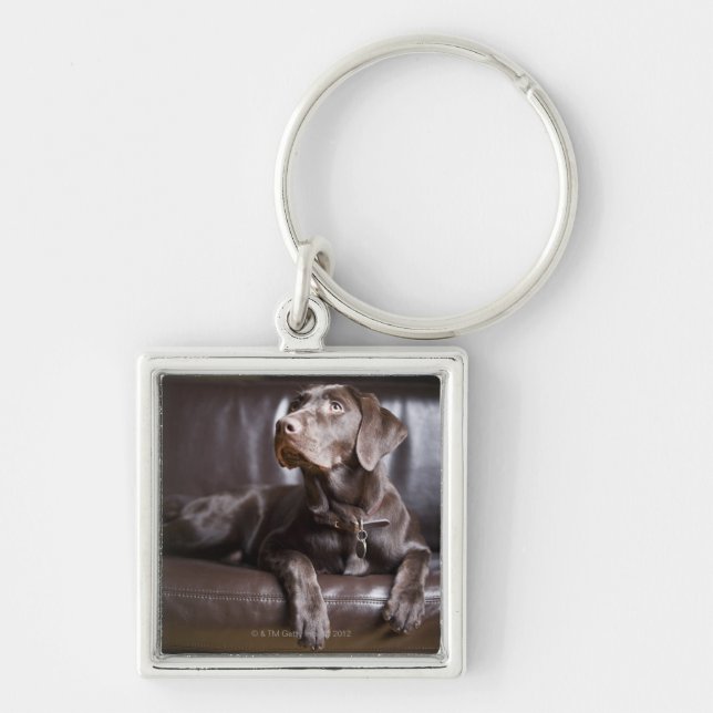 Chocolate Labrador Retriever Keychain (Front)