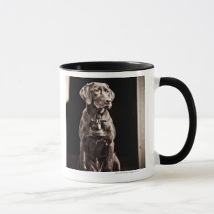 Chocolate Labrador Retriever Mug