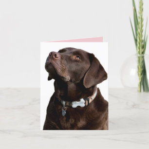 Chocolate Labrador Retriever Puppy Dog Note Card