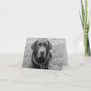 Chocolate Labrador Retriever Puppy Dog Note Card