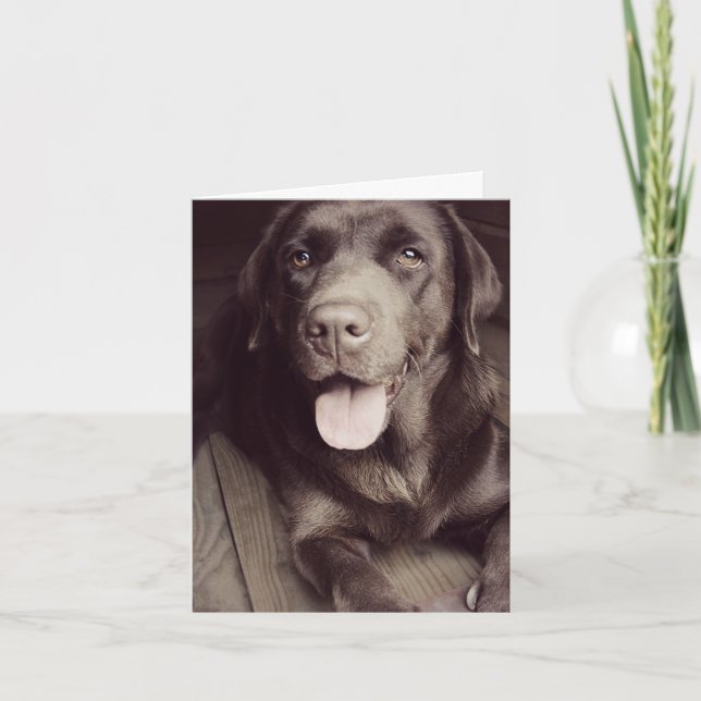 Chocolate Labrador Retriever Puppy Dog Note Card (Front)