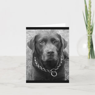 Chocolate Labrador Retriever Puppy Dog Note Card