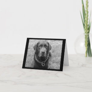 Chocolate Labrador Retriever Puppy Dog Note Card