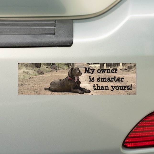 Chocolate Labrador Retriever Puppy Personalized Bumper Sticker (On Car)