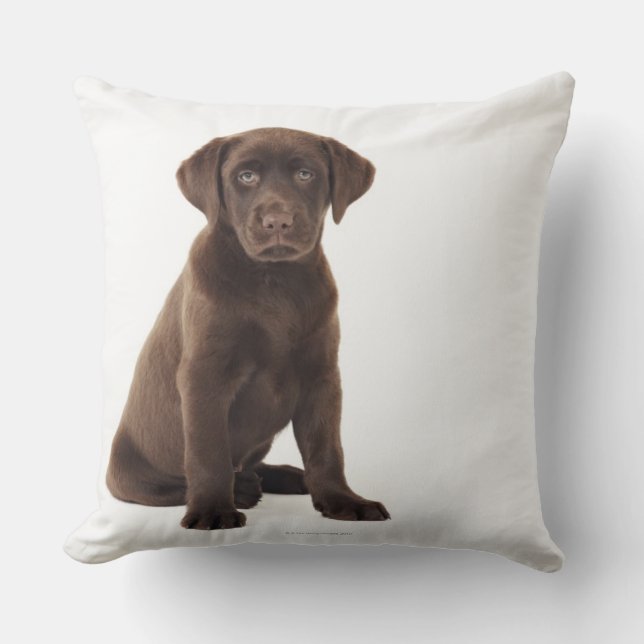 Chocolate Labrador Retriever Puppy Throw Pillow (Front)