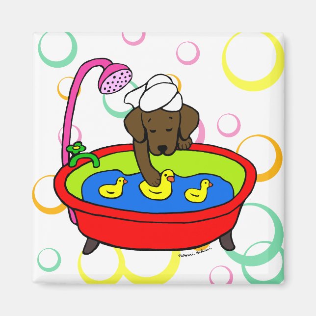 Chocolate Labrador & Rubber Ducks Cartoon Magnet (Front)