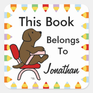 Chocolate Labrador Student 1 Cartoon Square Sticker