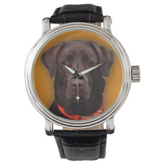 Chocolate Labrador Watch