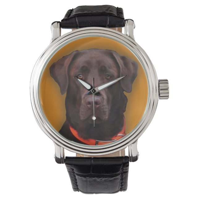 Chocolate Labrador Watch (Front)