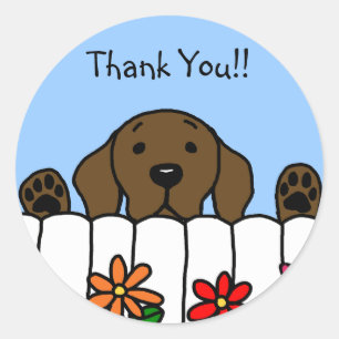 Chocolate Labrador watching you Classic Round Sticker