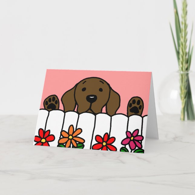 Chocolate Labrador watching you Thank You Card (Front)