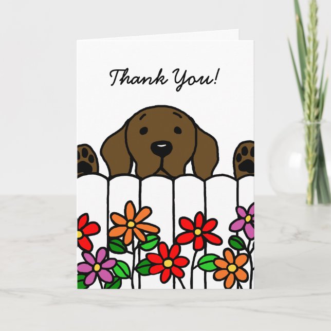 Chocolate Labrador watching you Thank You Card (Front)